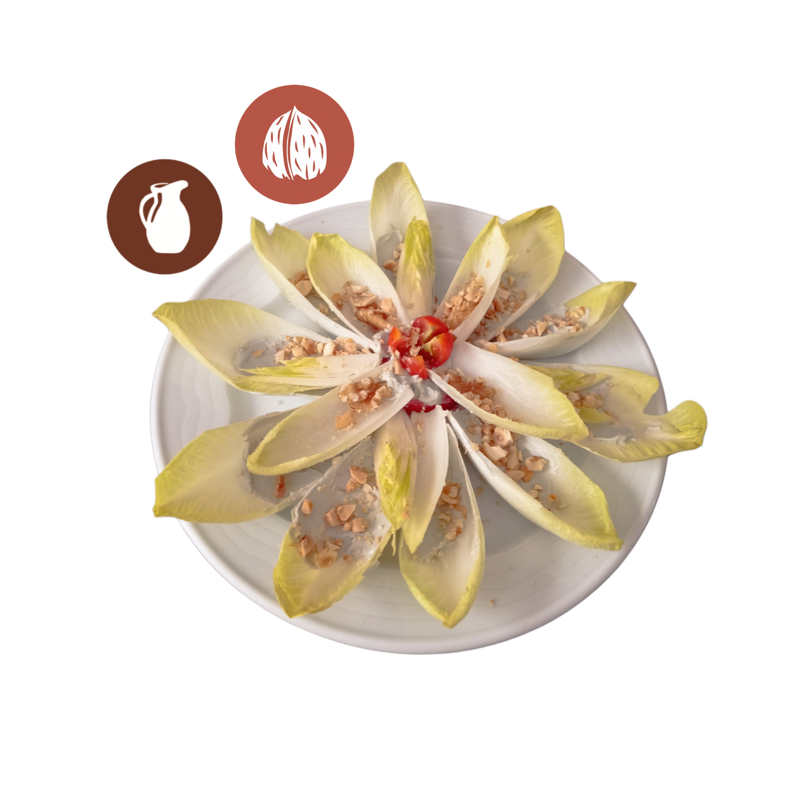 flor de endibias